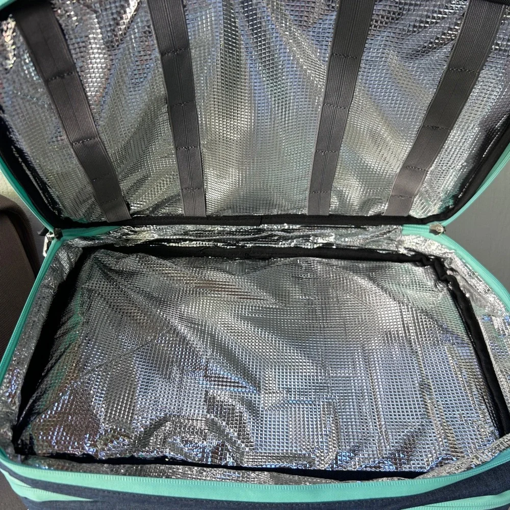Maelstrom Soft Sided Cooler Bag Blue Mint Green Insulated Picnic Lunch Tote NWOT